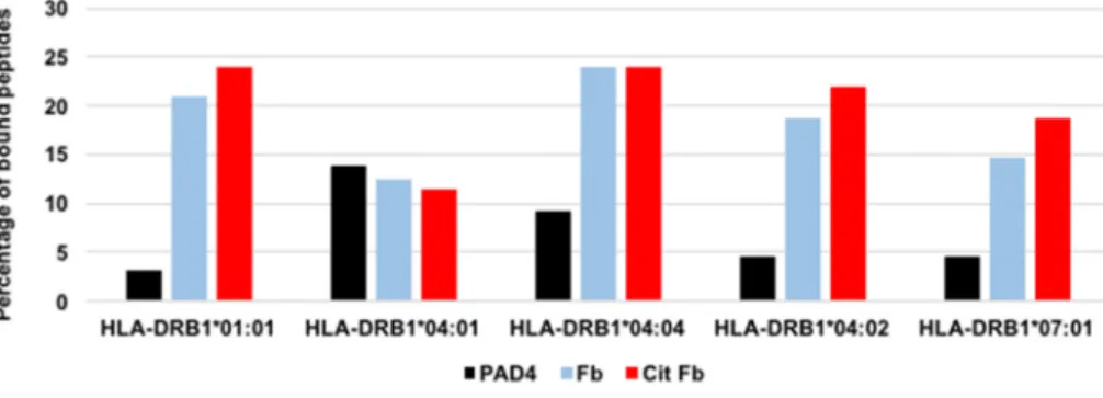 Fig.  3. Percentages  of  peptides  bound  by  purified  HLA-DR  molecules  encoded  by  HLA-  DRB1*01:01,*04:01, *04:04, *04:02, *07:01