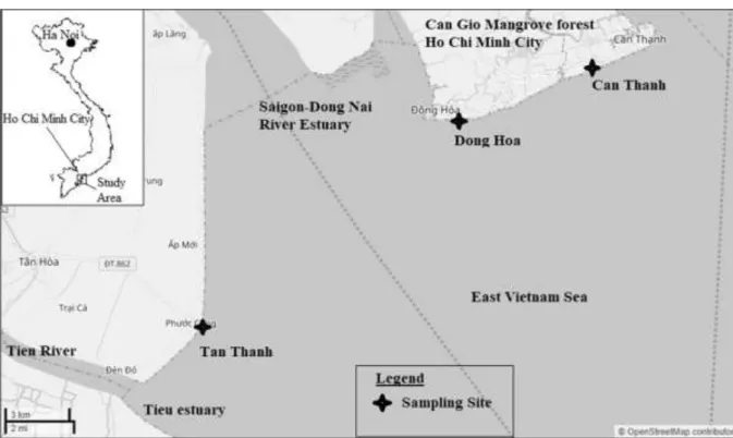 Fig. 1 Three  sampling  sites (Can Thanh, Dong  Hoa, and Tan Thanh) near the estuary of the SG-DN  River system
