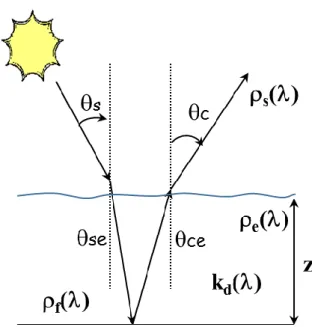 Figure 6 : Paramètres influant sur la réflectance de surface 