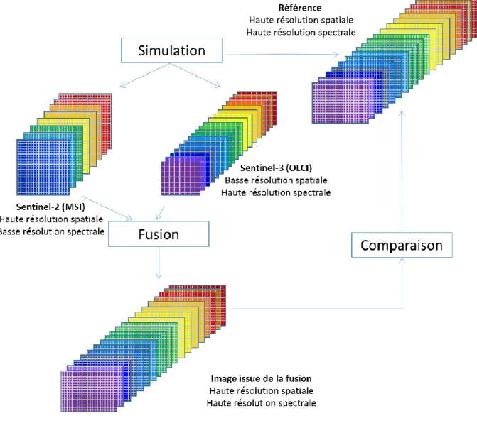Figure 10 : Démarche suivie pour les phases de simulation, fusion et validation  