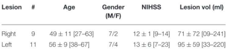 TABLE 1 | Demographics of stroke group.