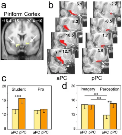 Figure 2. Neural responses in the piriform cortex. (a) Piriform cortex activation common to both   the  imagery  and  perception   conditions  and   detected   in  both   student  and  professional (Pro) perfumers