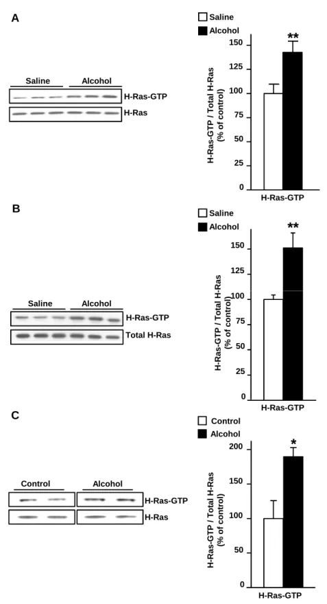 Figure 1 A H-Ras-GTPSalineAlcohol H-Ras 0255075100125150 **