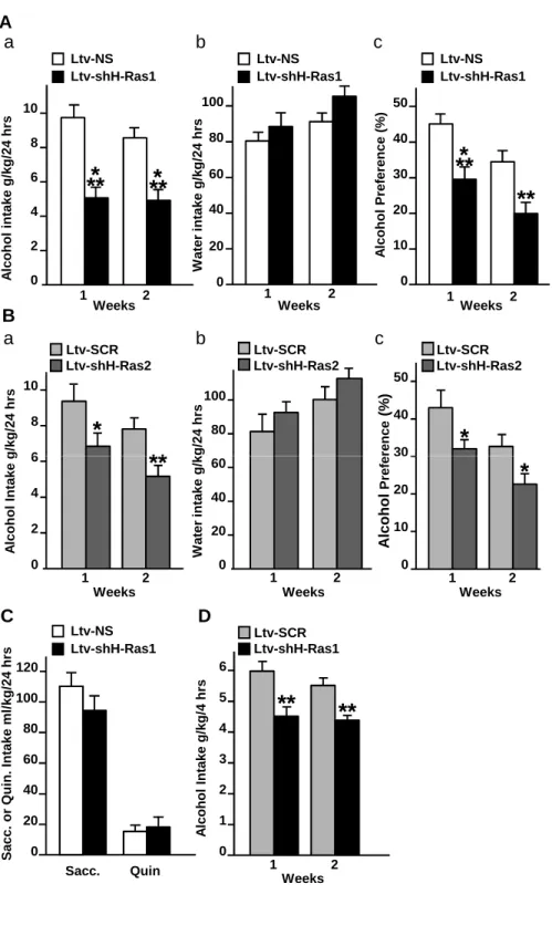 Figure 4 Water intake g/kg/24 hrs Weeks 1 2Ltv-NS Ltv-shH-Ras1020406080100A0246810Alcohol intake g/kg/24 hrsWeeks 12******Ltv-NSLtv-shH-Ras1 01020304050 Weeks 1 2Alcohol Preference (%) *****Ltv-NSLtv-shH-Ras1 Alcohol Intake g/kg/24 hrs 6810 Ltv-shH-Ras2Ltv