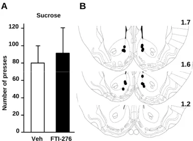 Figure 7 A Number of presses 80100120 Sucrose 1.71.6B Veh FTI-276Number of presses0204060 1.2