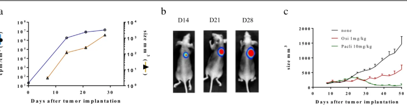 Fig. 1 Evaluation of PC9 Luc + cell tumorigenicity and response to osimertinib. PC-9 Luc + cells were injected sc in Balb/c nude mice