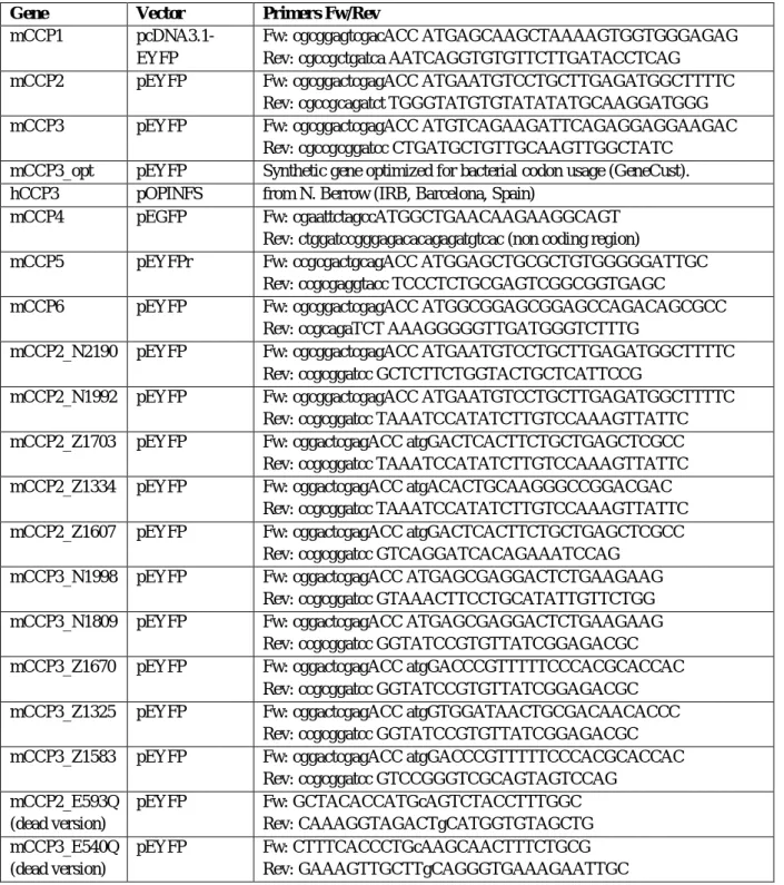 Table S1. Primers used to clone or mutagenize CCP genes and their truncated forms. 