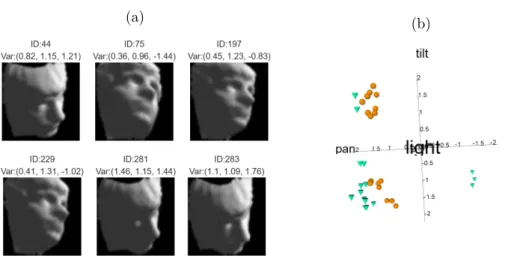 Fig. 1: The clustering results of the face dataset obtained from GLLiM: (a) six face images from Cluster 7; (b) scatter plot of T for points within Cluster 7 and 13 clustered by GLLiM