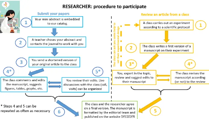 Figure 1.  Schematic view of the participation process for a researcher getting involved in DECODER