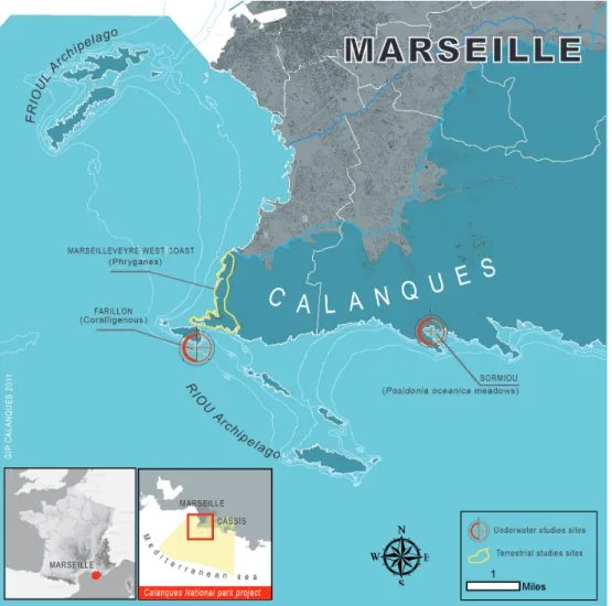 Figure 1. The Calanques of Marseilles areas studied. 