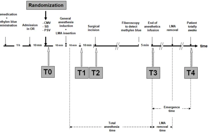 Fig. 1. Schematic illustration of the study design. Patient totally awake was defined as a patient who obtained a 10 point score on the five questions test (see text).