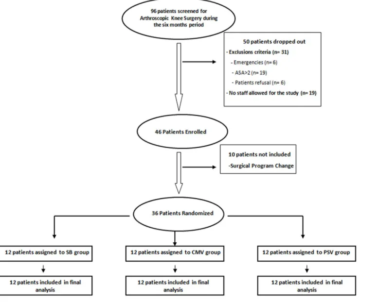 Fig. 2. Completed CONSORT flowchart of the study.