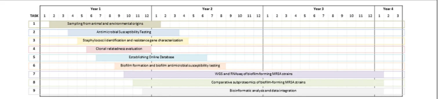 FIGURE 1 | Timeline of case study based on the comparative assessment of antimicrobial resistance of MRSA isolates from Portugal.