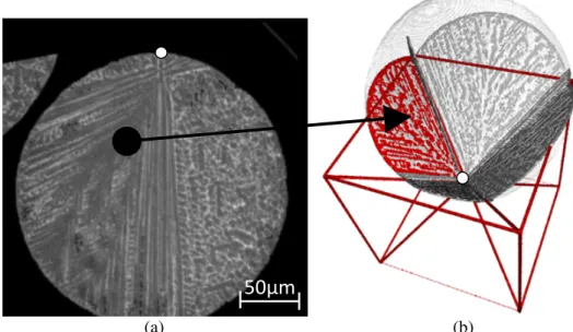 Figure 3: Synchrotron X-ray micro-tomography result showing (a) a droplet cross-section and (b) the  corresponding 3D-reconstruction with characteristic planes and the position of the nucleation centre 