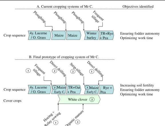 Fig. 4 Illustration of the current cropping system and final prototype designed by a farmer from Rhône-Alpes (Mr C), taking into account the objectives identified, the pedoclimatic context, and technical constraints.