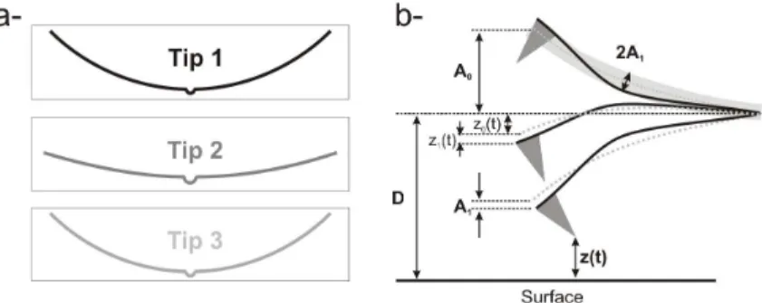 FIG. 2: a- Schemes of the three tips used for the analytic and numeric calculations, properly scaled