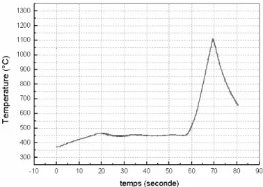 Figure III-2 : Synoptique du profil de température du recuit « SPIKE ». 