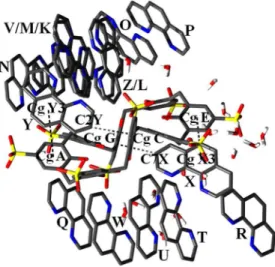 Figure 17. The crystal packing of ions and molecules in the crys- crys-tal  of  complex  2;  (a)  view  along  the  [010]  crystallographic  axis; 