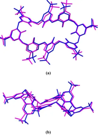 Figure  20.  Superposition  of  pseudo-centrosymmetric  C8S  anion  in  complex  3  (magenta)  and  centrosymmetric  C8S  anion  found  complex 2 (blue); (a) top view, (b) side view