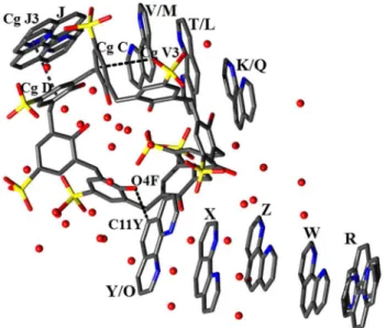 Figure  2.  The  unusual  conformation  of  the  para-sulphonato- para-sulphonato-calix[8]arene  in  the  complex  1;  (a)  view  from  above  showing  intermolecular O‒H···O hydrogen bonding, (b) side view