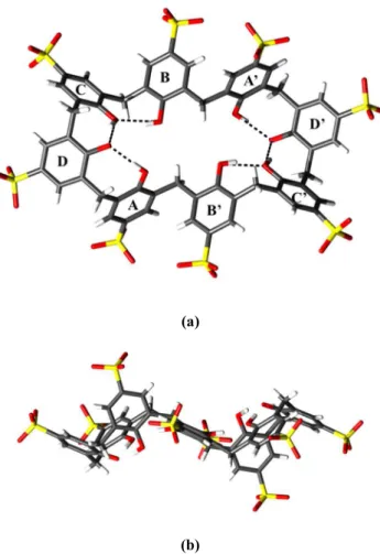 Figure 9. Solvent accessible cages in the crystal lattice of complex  1; view along the [100] direction
