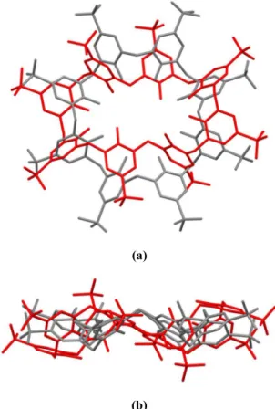 Figure 13. The  superposition  of pleated loop conformation   of  C8S  in  complex 2 (red)  and  [ VERBAW] 36 (gray ); (a) top view,  (b) side view