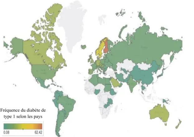 Figure I. 6 : Répartition géographique du diabète de type 1 selon les pays [35] 