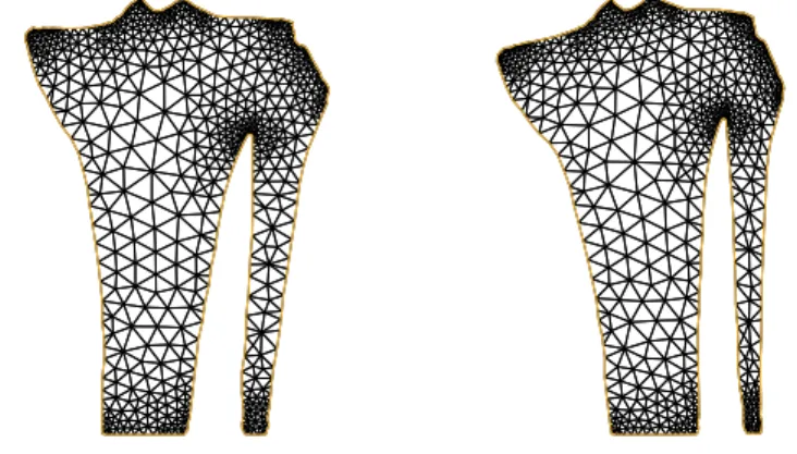 Figure 7. Non optimized meshes.