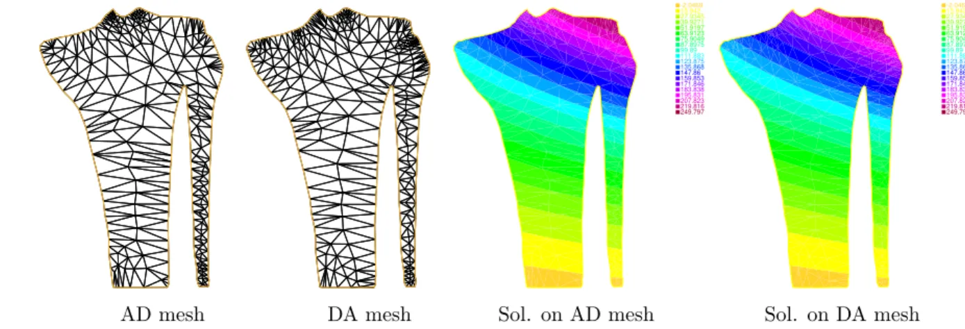 Figure 10. Adapted meshes and solutions of the Advection-Diffusion-Reaction equation.