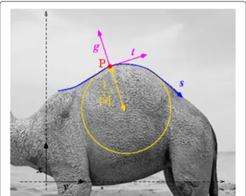 Fig. 1 Gradient, isophote and curvature estimated at point P in a greyscale image