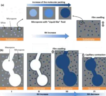 Figure  5.  Scheme  of  the  dynamic  water-adsorbed  actuation  mechanisms  occurring  in  (a)  microporous- and (b) mesoporous-responsive silica thin film for S X  and S M  actuators