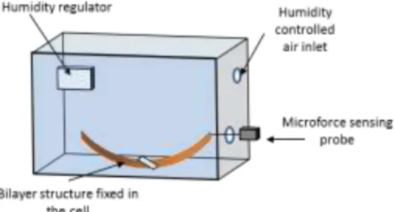 Figure  6.  Representation  of  the  setup  used  for  the  dynamic  in  situ  investigation  of  the  forces  generated by the S X  and S M bilayer actuators induced by the variation of relative humidity