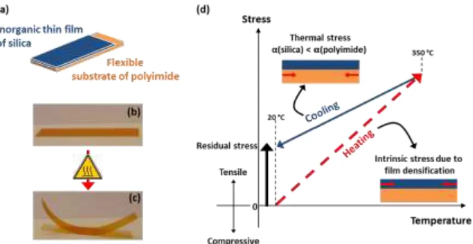 Figure  1.  (a)  Representation  of  the  silica-polyimide  bilayer  sheet.  (b) Photograph  of  a  silica  xerogel  based  bilayer  sheet  after  being  dried  at  room  temperature