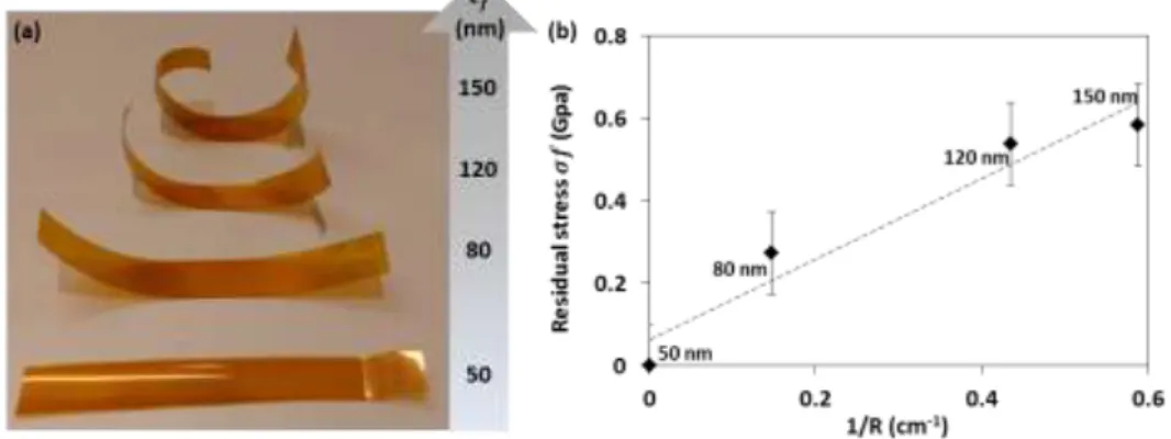 Figure 2. (a) Photograph of the curvature of 50 µm-thick polyimide strips combined with a layer of  xerogel  silica  with  decreasing  thickness  from  top  to  bottom