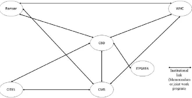 Figure 1: Institutional Cooperation Web in the Biodiversity Cluster 