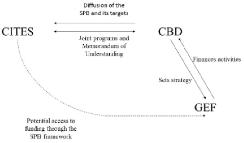 Figure 2: Simplified Representation of the Institutional Scheme for the Access to GEF  Funding 