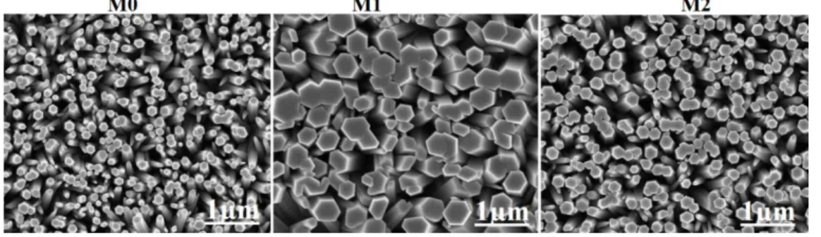 Fig. 1: SEM images of pure ZnO (M0) and Co-doped ZnO NRs as-synthesized using approaches  M1 and M2, respectively
