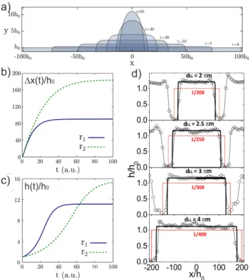 FIG. 6. a) 3D phase-field simulations reproducing the dewetting by SALK of a patch having aspect ratio 1/40