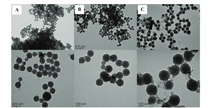 Fig. 4 and Table 1 show that the polymerization rate and the TEM diameter increased with increasing the amount of HEMA from 4 wt% (H02) to 8 wt% (H04) while the latex destabilized at higher concentration (12 wt% of HEMA, H05 in Table 1)