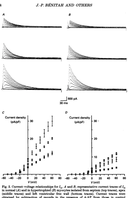 Fig. 2. Current-voltage relationships for It.. A and B, representative current traces of It.