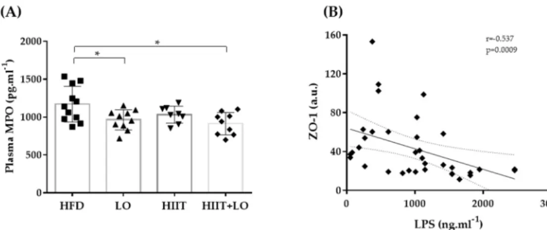 Figure 6. (A) Plasma myeloperoxidase (MPO) levels in the four groups and (B) correlation of lipo- lipo-polysaccharide (LPS) and ZO-1: HFD (n = 12), LO (n = 11), HIIT (n = 8), and HIIT+LO (n = 9) at the  end of phase 2 (training and/or LO supplementation fo