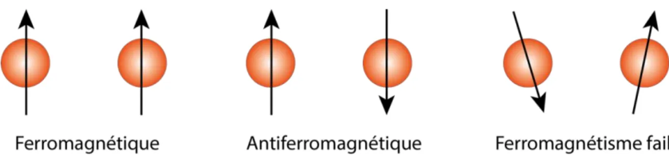 Figure 6: Orientation des spins dans trois types de phases magnétique. Ferromagnétique : tous les spins sont alignés formant  un moment magnétique maroscopique
