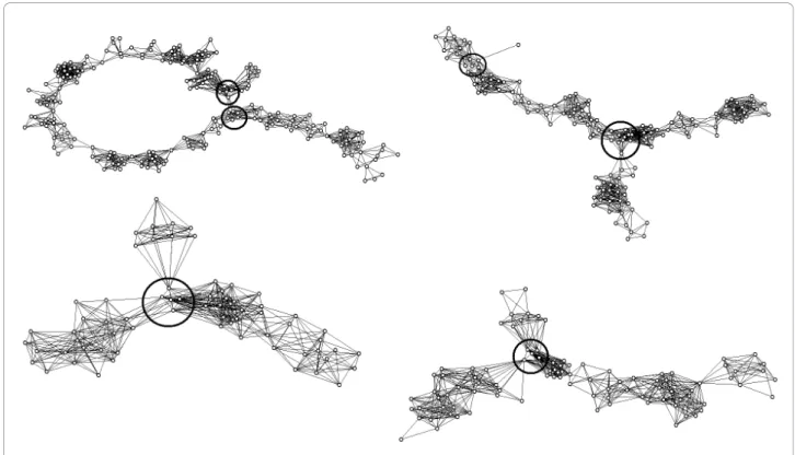 Figure 6 Net representation of problematic FPC contigs with non-linear topological structure