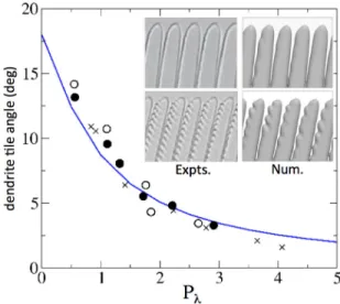 Figure 4: Tilt angle of DS dendrites (measured from the main growth axis z) as a function of P´ eclet number P λ (see text)