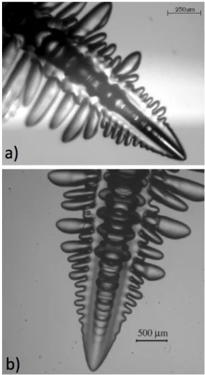 Figure 7: Free-dendrite growth. a) Pure xenon (reprinted from Ref. [168], with per- per-mission from EDP Sciences; http://epljournal.edpsciences.org/)