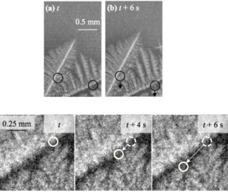 Figure 10: Top: X-ray radiographs showing the position and the subsequent motion of dendrite fragments (black circles) inside the mushy zone during a µg solidification experiment in the XRMON-GF apparatus (Al-20wt%Cu; G = 15Kmm −1 ; R = −0.15Ks −1 )