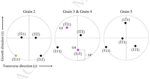 Figure 2: Stereographic projections of the {111} poles of grains G2, G3, G4 and G5,  the  pole  axis  (x)  being  along  the  direction  perpendicular  to  the  sample  surface