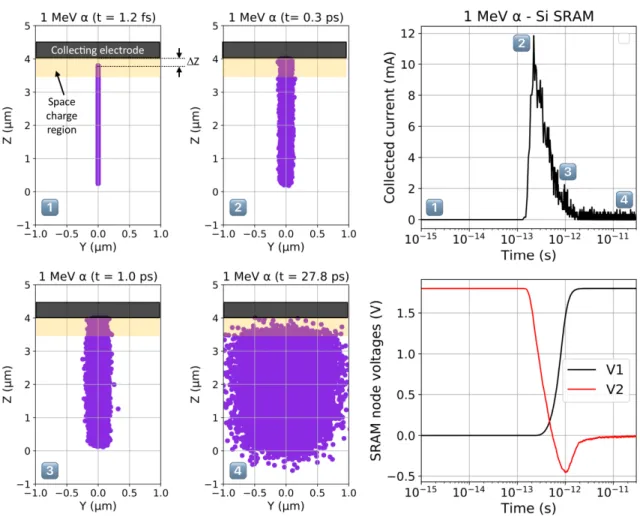 Fig. 3.  Cartoon of a single event upset occurring in the Si-SRAM due to the emission of a 1 MeV alpha particle  in the space charge region of the transistor drain