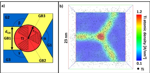 Figure 1: a) Geometries used in the simulated model volume for a projected view along TJ and GBs