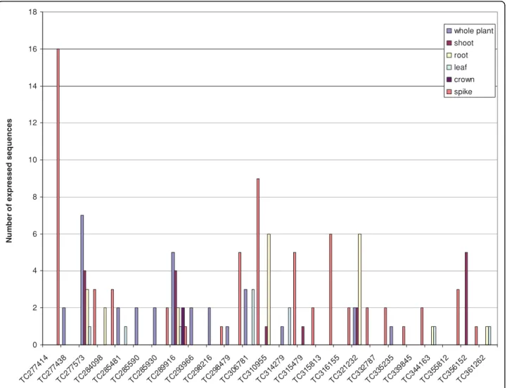 Figure 6 Tissue specific in silico expression of wheat Dof as represented by EST contigs.